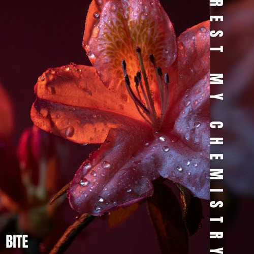 Rest My Chemistry - Bite (2025) [Single]