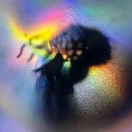 When Saints Go Machine - Ice Rink (2025) [Single]