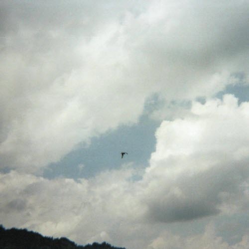 Glaring - Nothing Is Real (2025) [Single]