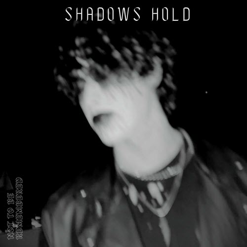 Shadows Hold - Not To Be Remembered (2023) [Single]