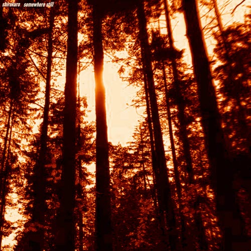 Shirokuro - Somewhere Still (2021)