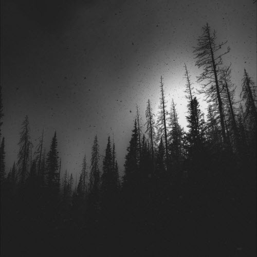 Shadows Hold - Your Lips Against Mine (2024) [Single]