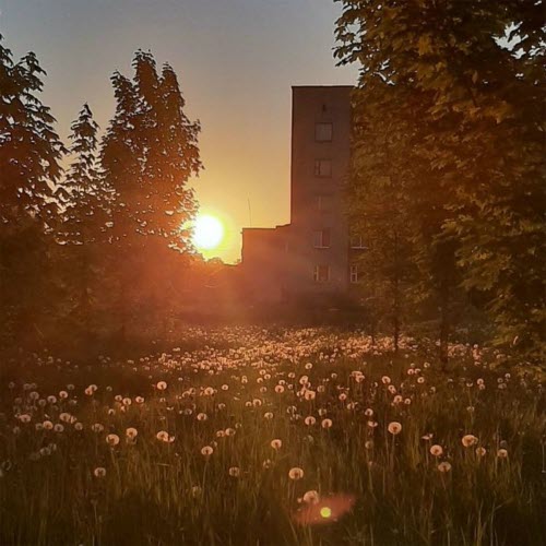 Past Day - Родина (2024) [EP]