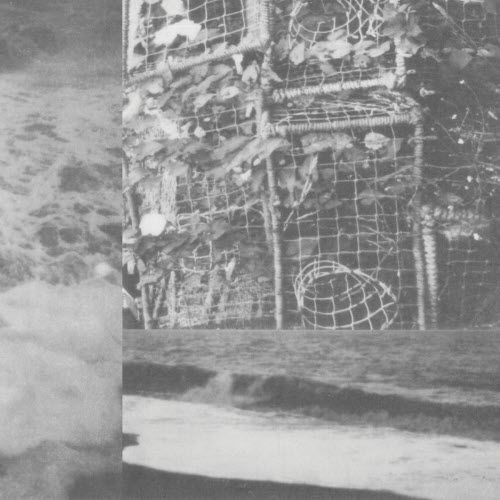 Cremation Lily - The Processes And Instruments Of Normal People (2020) [Remastered]