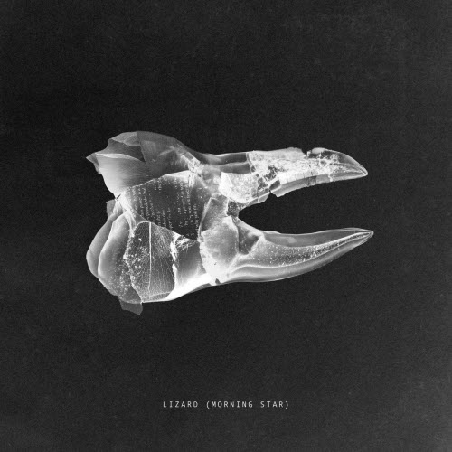 Melt Motif - Lizard (Morning Star) (2025) [Single]