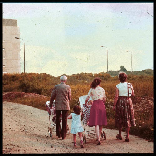 Twins In Colour - The Perks Of Being A Warflower (2025) [Single]