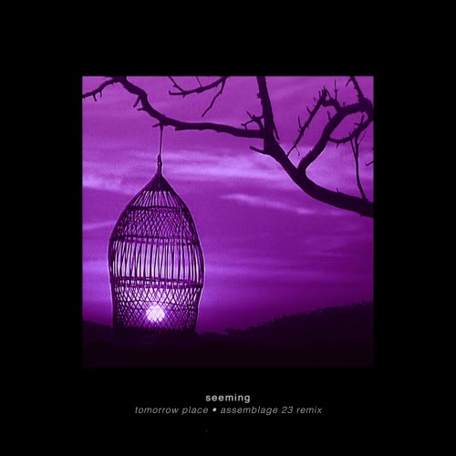 Seeming - Tomorrow Place (Assemblage 23 Remix) (2025) [Single]