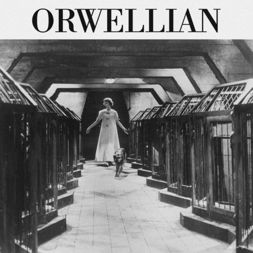 The Todds - Orwellian (2022) [EP]