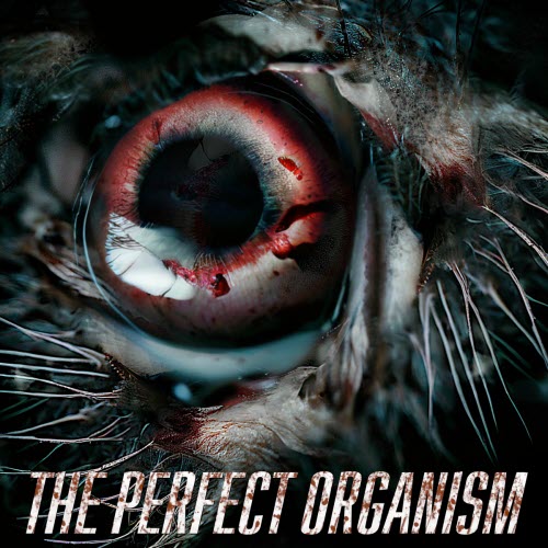 Pneumatic Detach - The Perfect Organism (2025) [Single]