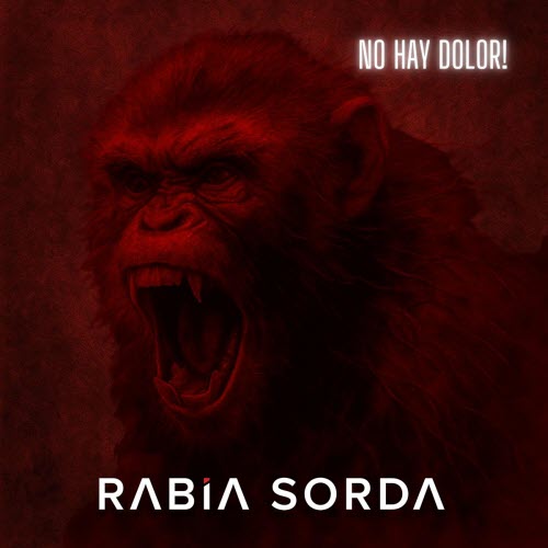 Rabia Sorda - No Hay Dolor! (2025) [Single]