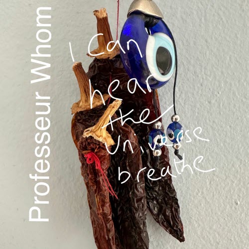 Professeur Whom - I Can Hear The Universe Breathe (2025)
