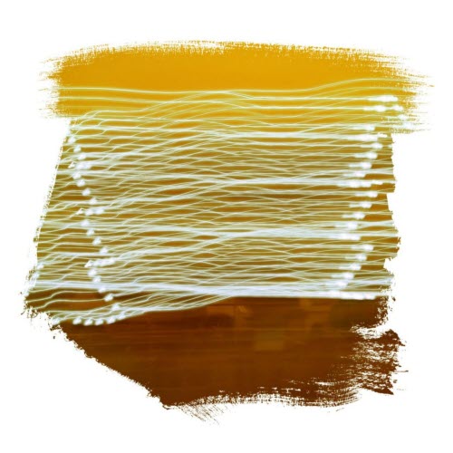 Archie Sagers - Through The Leaves (2020) [Single]