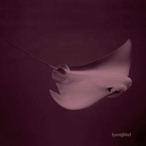 Ljungblut - Capitals (2007)