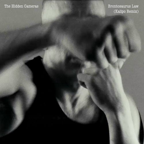 The Hidden Cameras - Brontosaurus Law (Kalipo Remix) (2025) [EP]