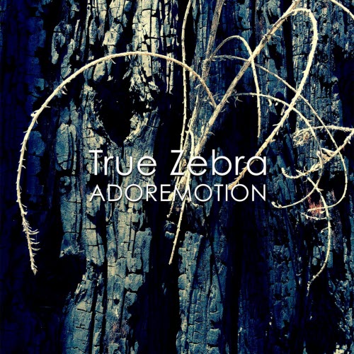True Zebra - Adoremotion (2014)