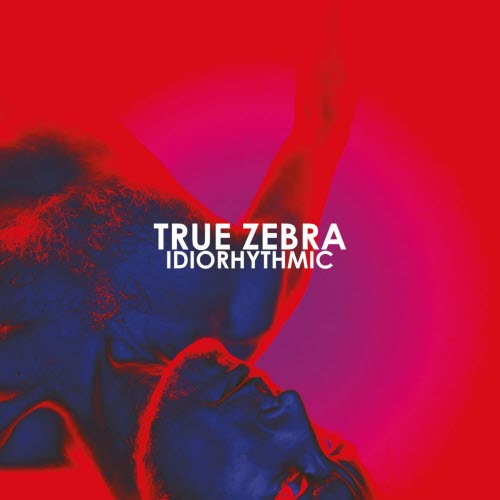 True Zebra - Idiorhythmic (2020)
