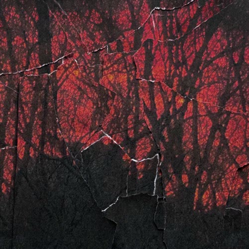 Routine - Last Time (2025) [Single]