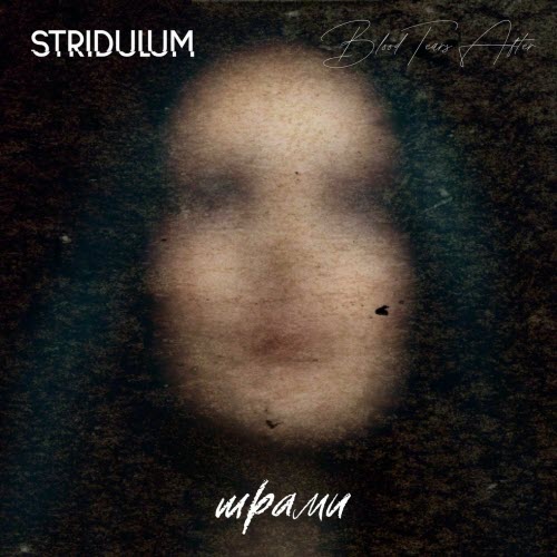 Stridulum - Shramy (2025) [Single]
