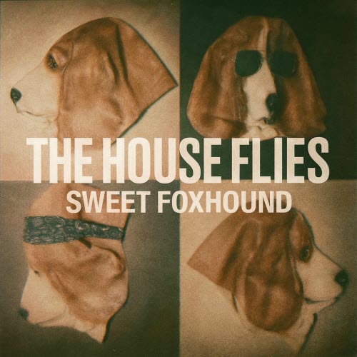 The House Flies - Sweet Foxhound (2025) [Single]
