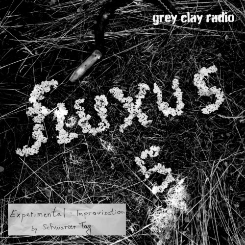 Schwarzer Tag - Fluxus 5 With Niayesh Ebrahimi (2025)