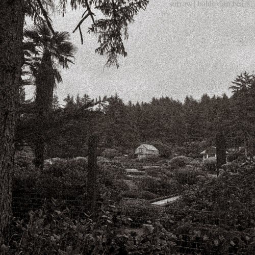 Balduvian Bears - Sorrow (2025) [Single]