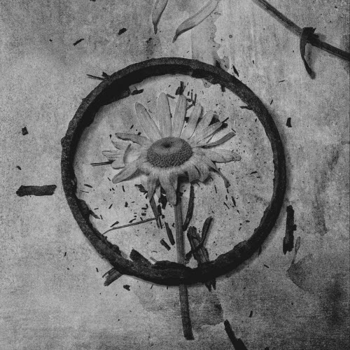 Nishubert - Нишуберт (2025) [Reissue]