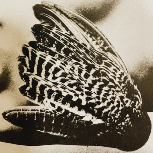 Fictions - Sensory (2025)
