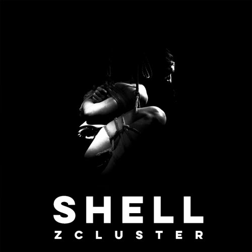 ZCluster - Shell (2024) [Single]