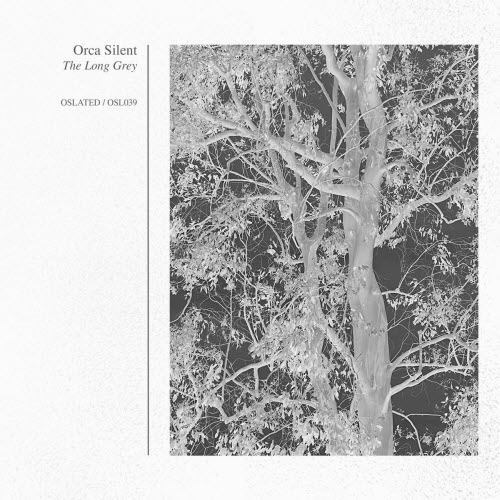 Orca Silent - The Long Grey (2025)