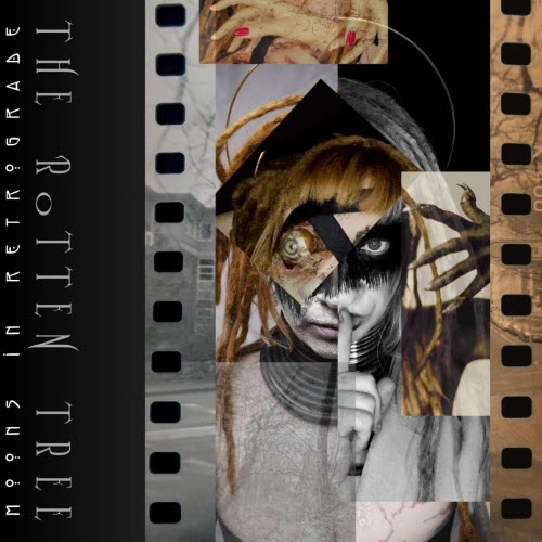 Moons In Retrograde - The Rotten Tree (Fresh Rot) (2025) [Single]