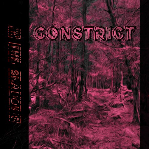 Constrict - In The Shadows (2025)