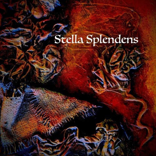 Paya Lehane - Stella Splendens (2023) [Single]