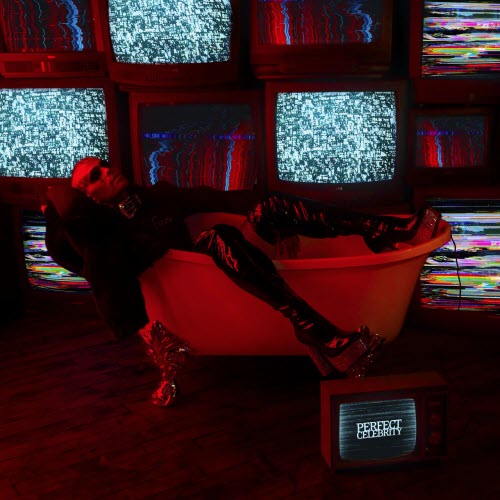 Danny Blu - Perfect Celebrity (2025) [Single]