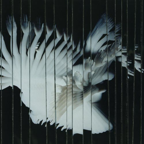 SCALER - Endlessly (2025)