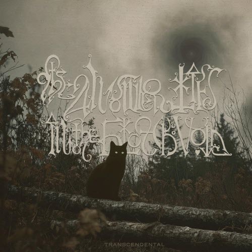 The Answer Lies In The Black Void - Transcendental (2025)