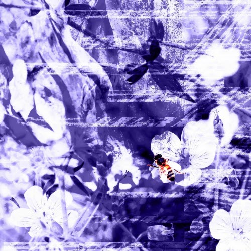 Solid-State Sunlight - Halogen Dusk (2025) [Single]