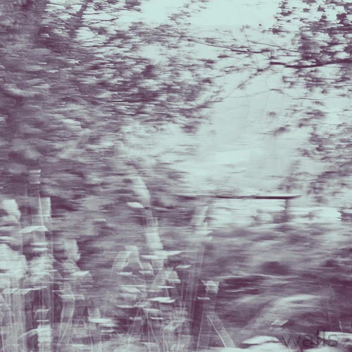Varg In Prison - Walls (2025) [Single]