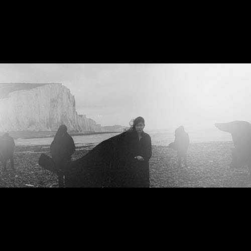 Dog In The Snow - Vanishing Lands (2019)