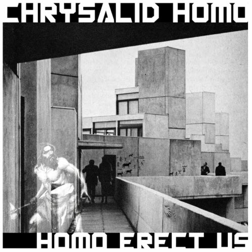 Chrysalid Homo - Homo Erect Us (2022)