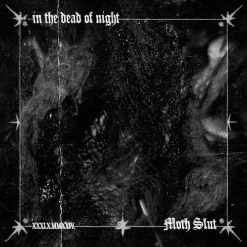 Moth Slut - In The Dead Of Night (2024) [Single]