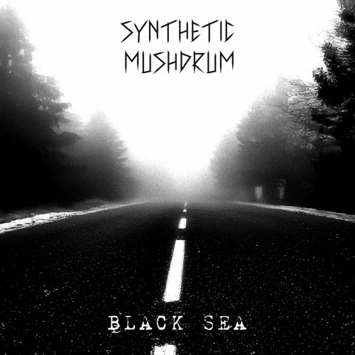 Synthetic Mushdrum - Black Sea (2025) [Single]