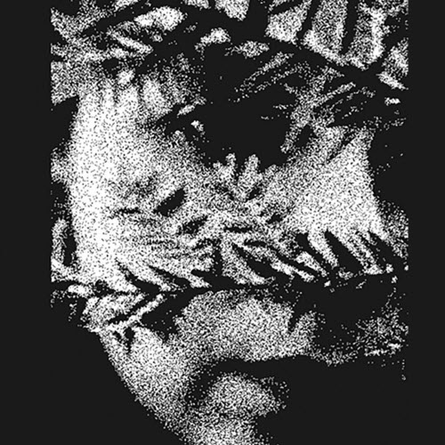 Swallowed By The Thicket - Reflections In The Wood (2025)