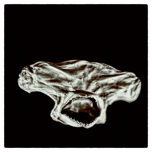 Clone - Care To Try? (2025) [EP]