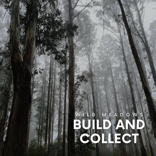 Wild Meadows - Build And Collect (2025) [EP]
