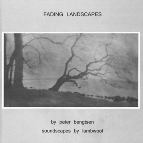 Lambwool - Fading Landscapes (2005)