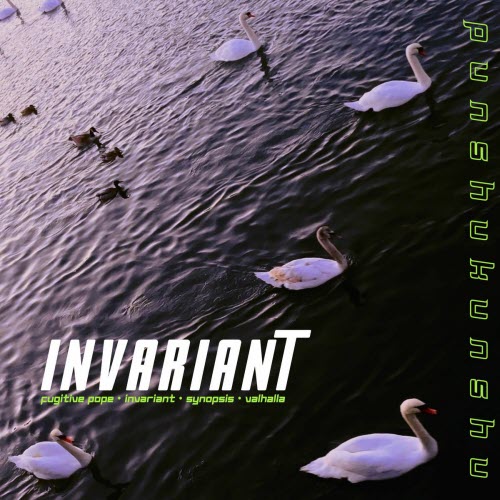 Punshukunshu - Invariant (2024) [EP]