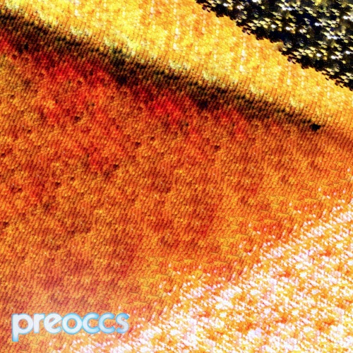 Preoccupations - Mur/Ponr (2025) [Single]