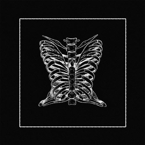 Carriegoss - Plexus Solex (2018) [Single]