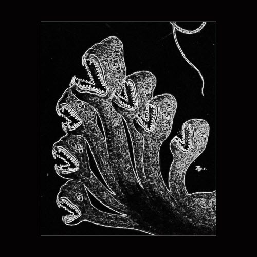 Carriegoss - Secret (Remix) (2023) [Single]