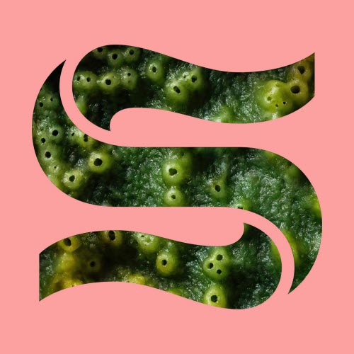 Kaitlyn Aurelia Smith & Joe Goddard - Neptunes (Ela Minus Remixes) (2025) [Single]